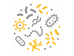 Helixio's icon for Analyses du microbiote